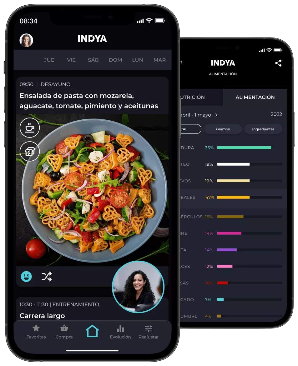 Vista de la aplicación INDYA